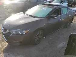 Nissan salvage cars for sale: 2016 Nissan Maxima 3.5S