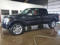 Salvage cars for sale from Copart Blaine, MN: 2013 Ford F150 Supercrew