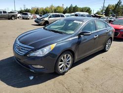 Salvage cars for sale from Copart Denver, CO: 2013 Hyundai Sonata SE