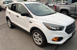 Salvage cars for sale at Magna, UT auction: 2019 Ford Escape S