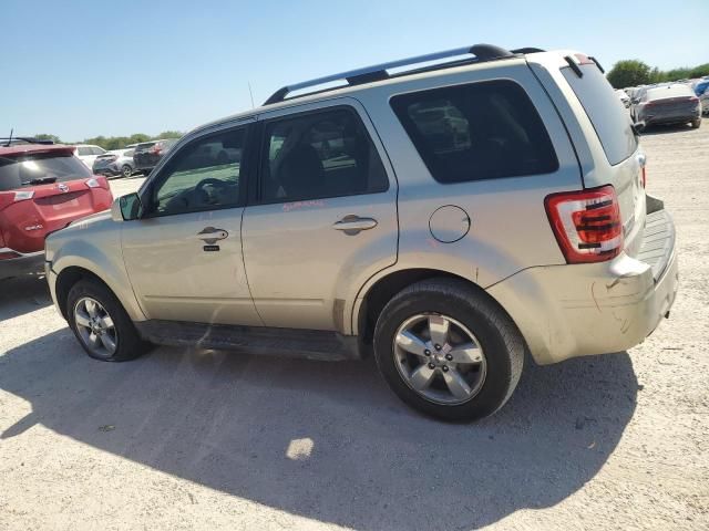 2010 Ford Escape Limited