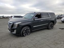 Salvage cars for sale at Martinez, CA auction: 2015 Cadillac Escalade Premium