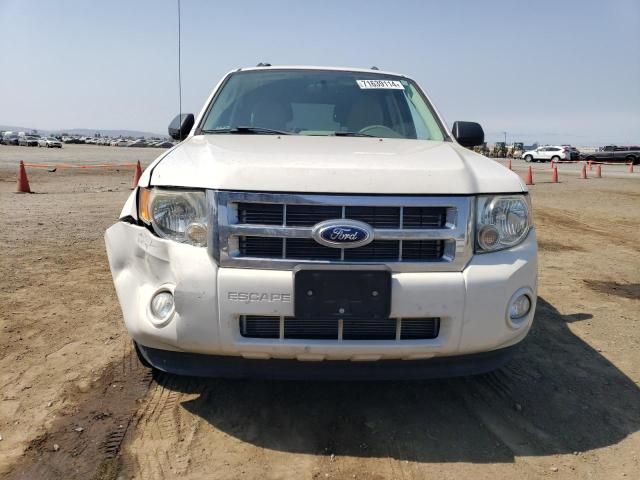 2012 Ford Escape XLT