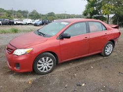 Toyota salvage cars for sale: 2013 Toyota Corolla Base