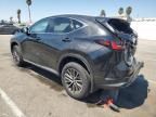 2024 Lexus NX 250 Base