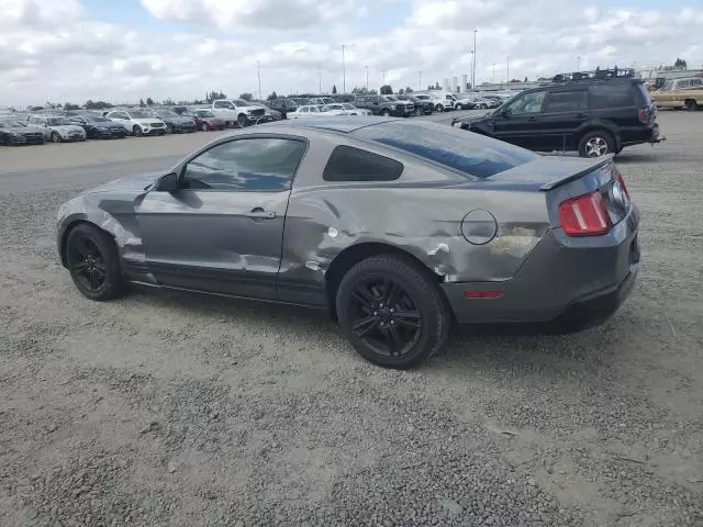 2010 Ford Mustang