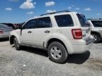 2010 Ford Escape XLS