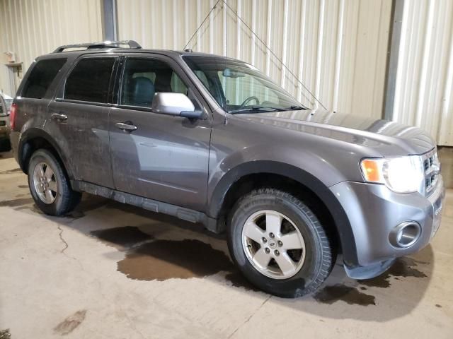 2010 Ford Escape Limited