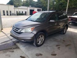 Salvage cars for sale at Hueytown, AL auction: 2010 Honda CR-V EXL