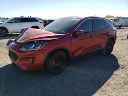 Ford Escape salvage cars for sale: 2021 Ford Escape SE