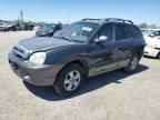 2006 Hyundai Santa FE GLS