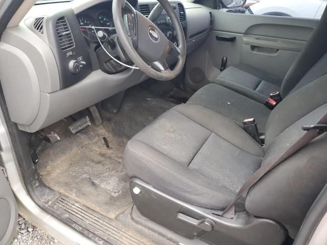 2010 Chevrolet Silverado C1500