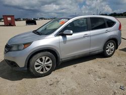 Salvage cars for sale at Arcadia, FL auction: 2014 Honda CR-V EX