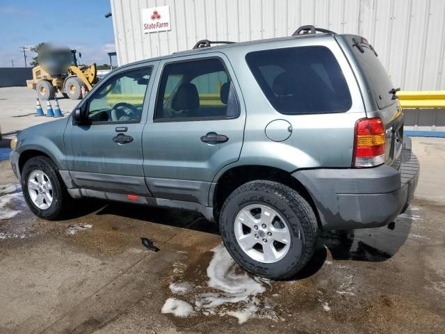 2005 Ford Escape XLT