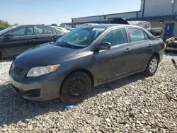 Toyota Vehiculos salvage en venta: 2009 Toyota Corolla Base