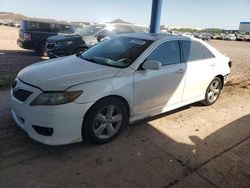 Salvage cars for sale at Phoenix, AZ auction: 2011 Toyota Camry SE