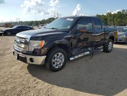 Salvage trucks for sale at Greenwell Springs, LA auction: 2013 Ford F150 Supercrew