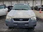 2003 Ford Escape XLT