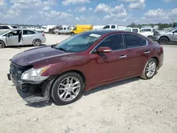 Nissan salvage cars for sale: 2009 Nissan Maxima S