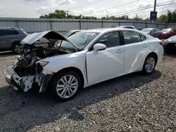 Salvage cars for sale at Hillsborough, NJ auction: 2014 Lexus ES 350