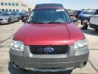 2005 Ford Escape XLT