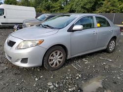 Vehiculos salvage en venta de Copart Waldorf, MD: 2009 Toyota Corolla Base