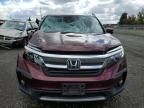 2019 Honda Pilot EXL