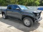 2024 Toyota Tacoma Double Cab