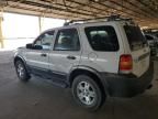 2006 Ford Escape XLT