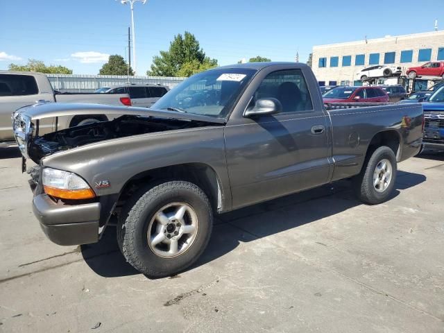 1999 Dodge Dakota