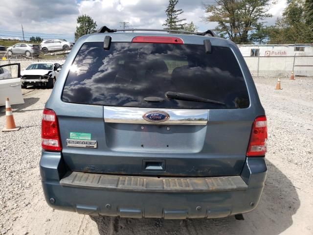 2011 Ford Escape Limited