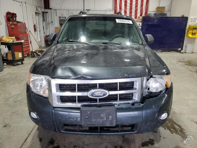 2008 Ford Escape XLT