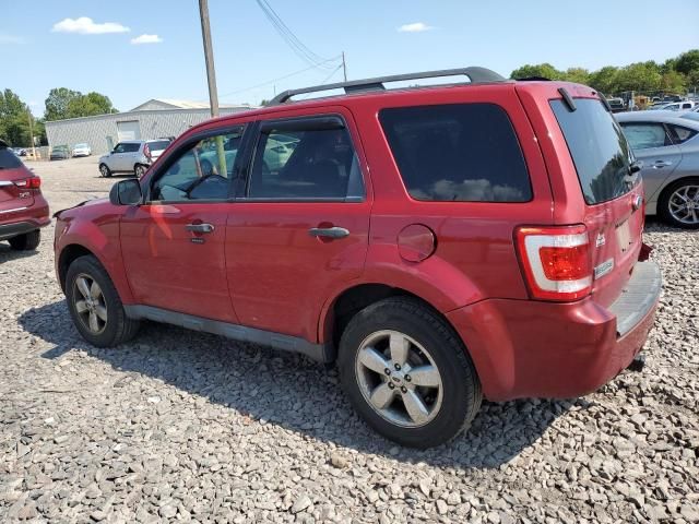 2011 Ford Escape XLT