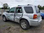 2006 Ford Escape Limited