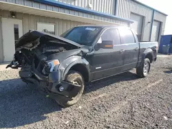 Salvage trucks for sale at Earlington, KY auction: 2013 Ford F150 Supercrew