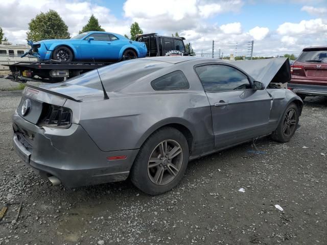 2013 Ford Mustang