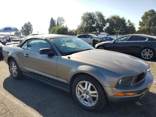 2005 Ford Mustang