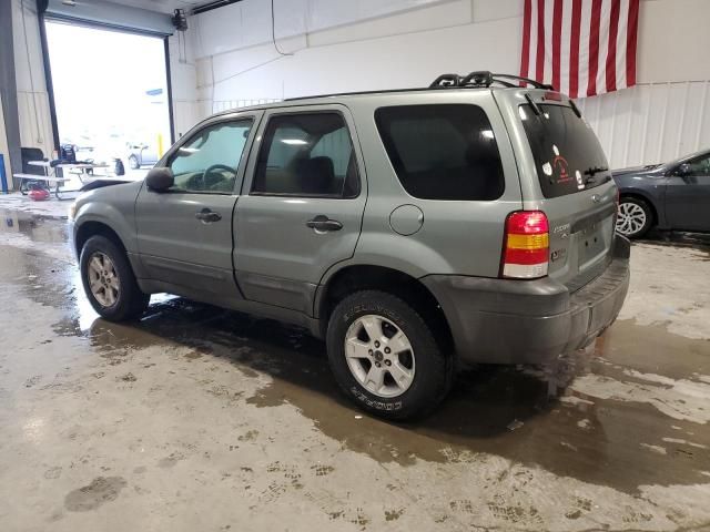 2006 Ford Escape XLT