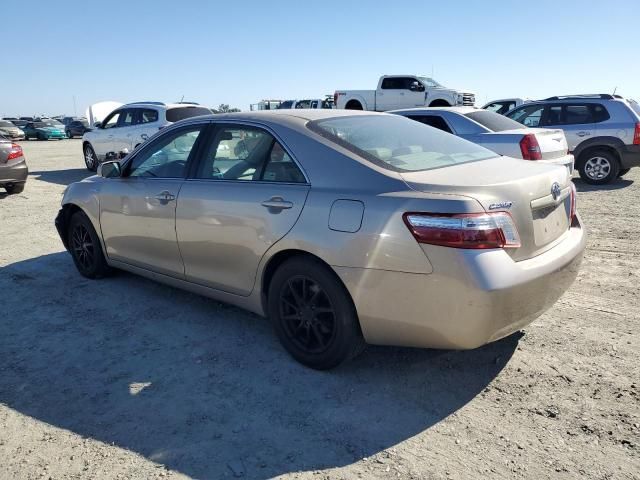 2009 Toyota Camry Hybrid