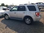 2009 Ford Escape Limited