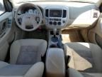 2006 Ford Escape XLT