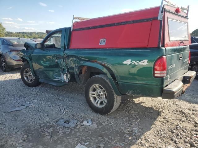 2003 Dodge Dakota SXT