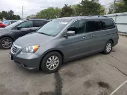 Honda salvage cars for sale: 2009 Honda Odyssey EX