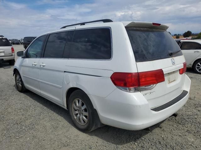 2008 Honda Odyssey EXL