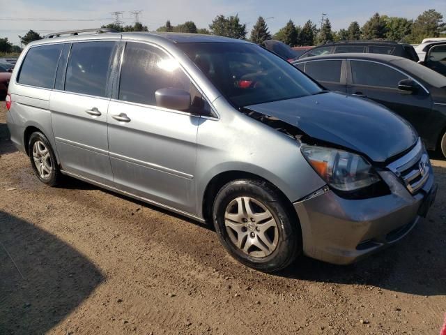 2005 Honda Odyssey EXL