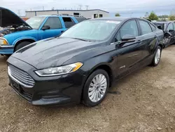 Salvage cars for sale at Elgin, IL auction: 2013 Ford Fusion SE Hybrid