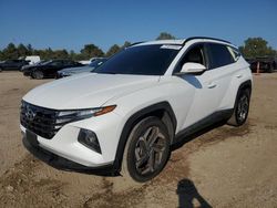 2024 Hyundai Tucson SEL en venta en Elgin, IL