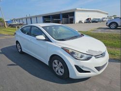 Salvage cars for sale at Louisville, KY auction: 2016 Hyundai Elantra SE