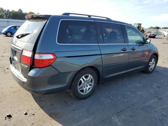 2005 Honda Odyssey EXL