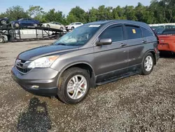 Salvage cars for sale from Copart Arcadia, FL: 2010 Honda CR-V EXL